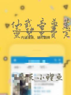 仙武帝尊叶辰楚灵儿免费完本