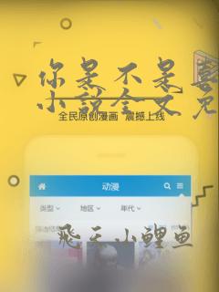 你是不是喜欢我小说全文免费阅读