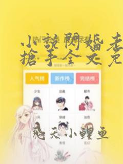 小说闪婚老公太抢手全文免费阅读
