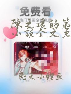 陈之遥的第一次小说全文免费阅读