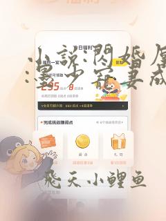 小说:闪婚厚爱:墨少宠妻成瘾