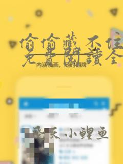 偷偷藏不住小说免费阅读全文无删减