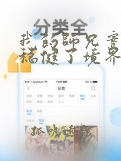 我的师兄实在太稳健了境界设定