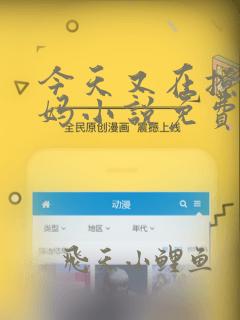 今天又在撩拨后妈小说免费阅读全文灼灼