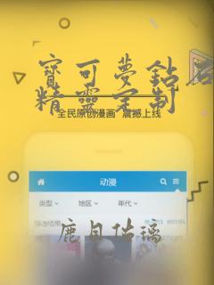 宝可梦钻石珍珠精灵定制