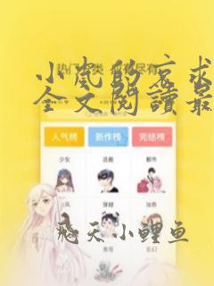 小岚的哀求小说全文阅读最新章节