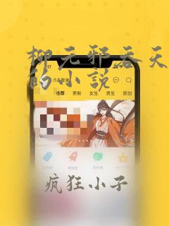 柳元邪吞天神鼎的小说