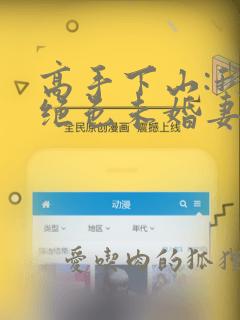 高手下山:我的绝色未婚妻小说下载下载全文