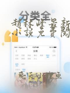 赵林峰最新章节小说免费阅读全文