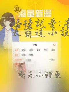 婚后试爱:老公太霸道小说免费阅读