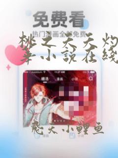 桃之夭夭灼灼其华小说在线阅读