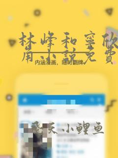 林峰和宁欣是主角小说免费阅读