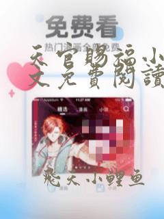 天官赐福小说全文免费阅读无删减版