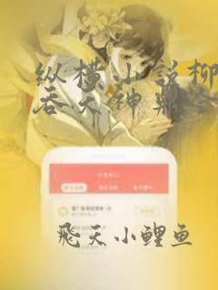 纵横小说柳无邪吞天神鼎全文免费阅读