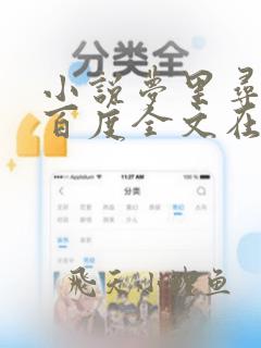 小说梦里寻她千百度全文在线阅读