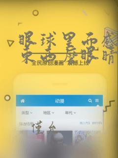 眼球里面感觉有东西磨眼睛怎么回事