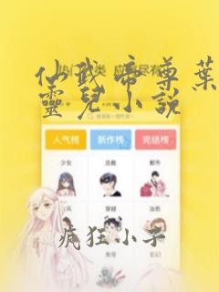 仙武帝尊叶辰楚灵儿小说