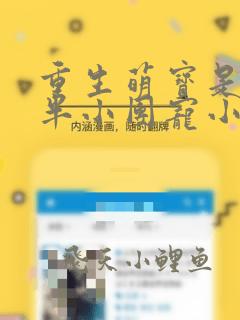 重生萌宝是四岁半小团宠小说阅读
