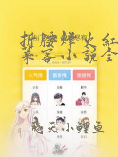 折腰烽火红绡蓬莱客小说全集完整版