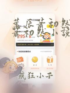 叶辰萧初然叶辰萧初然小说大结局