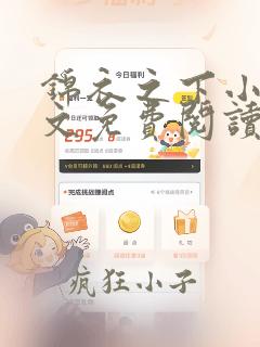 锦衣之下小说全文免费阅读无弹窗