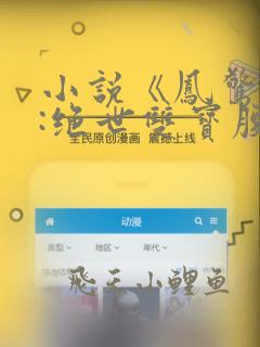 小说《凤惊天下:绝世双宝腹黑娘亲》