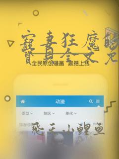 宠妻狂魔的黏人宝贝全文免费阅读