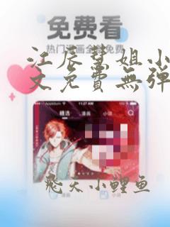 江辰慧姐小说全文免费无弹窗阅读
