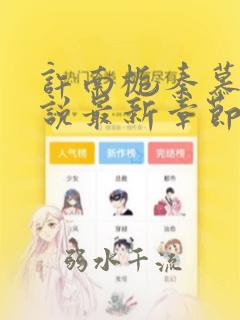 许南栀秦慕川小说最新章节免费阅读全文