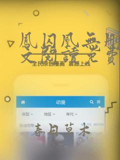 凤囚凰无删减全文阅读免费