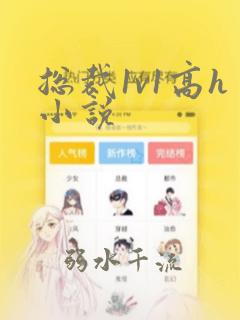 总裁1v1高h小说