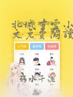 北城有雪小说全文免费阅读无弹窗