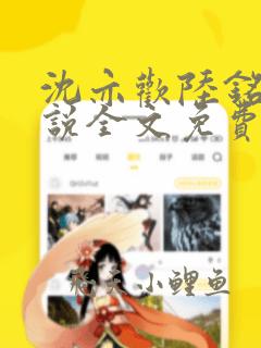 沈亦欢陆铭越小说全文免费阅读