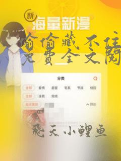 偷偷藏不住小说免费全文阅读下载