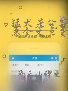 猛犬老公宠妻过急全文免费阅读无弹窗