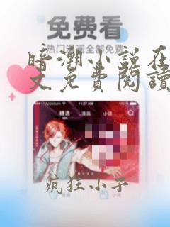 暗潮小说在线全文免费阅读笔趣阁