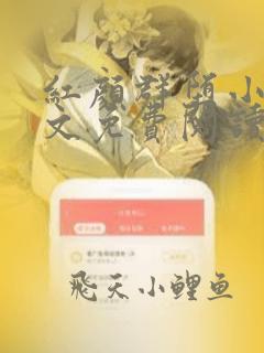 红颜群堕小说全文免费阅读