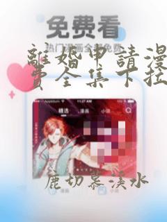 离婚申请漫画免费全集下拉式漫画