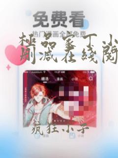 极品家丁小说无删减在线阅读