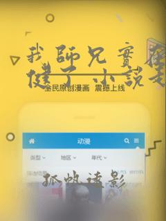 我师兄实在太稳健了 小说起点
