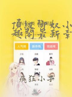 顶级御奴小说笔趣阁最新章节内容