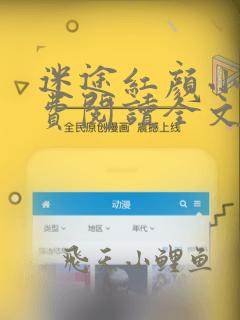 迷途红颜小说免费阅读全文