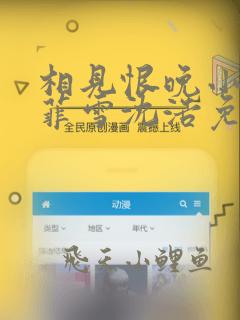 相见恨晚小说秦菲雪沈浩免费阅读