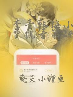 李青韩梅小说免费观看第24章