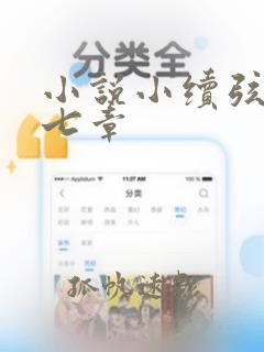 小说小续弦第十七章