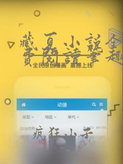 藏夏小说全文免费阅读笔趣阁