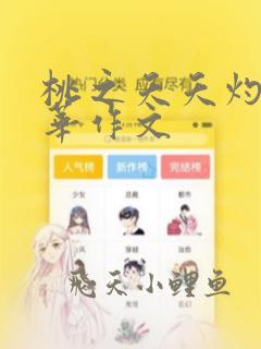 桃之夭夭灼灼其华作文