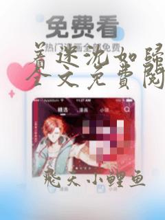 着迷沈如归小说全文免费阅读无弹窗