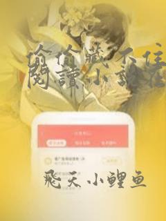 偷偷藏不住免费阅读小说在线阅读