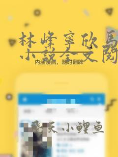 林峰宁欣马邦国小说全文阅读免费阅读